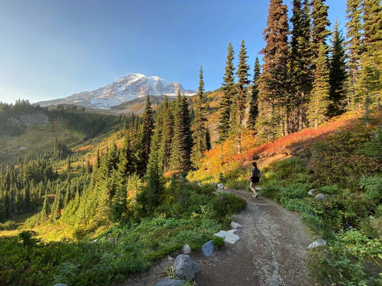 Skyline Loop Fall 5 Epic Fall Hikes at Mount Rainier - The National Parks Experience