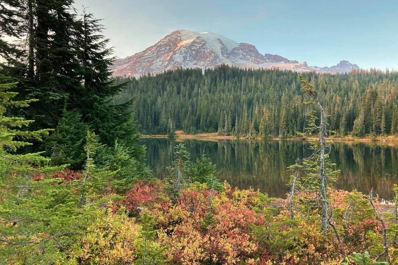Huckleberry fall colors at Reflection Lakes in Mount Rainier National Park, Washington, one of the national parks where foraging is allowed