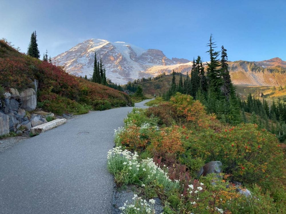 5 Best Fall Hikes at Mount Rainier The National Parks Experience