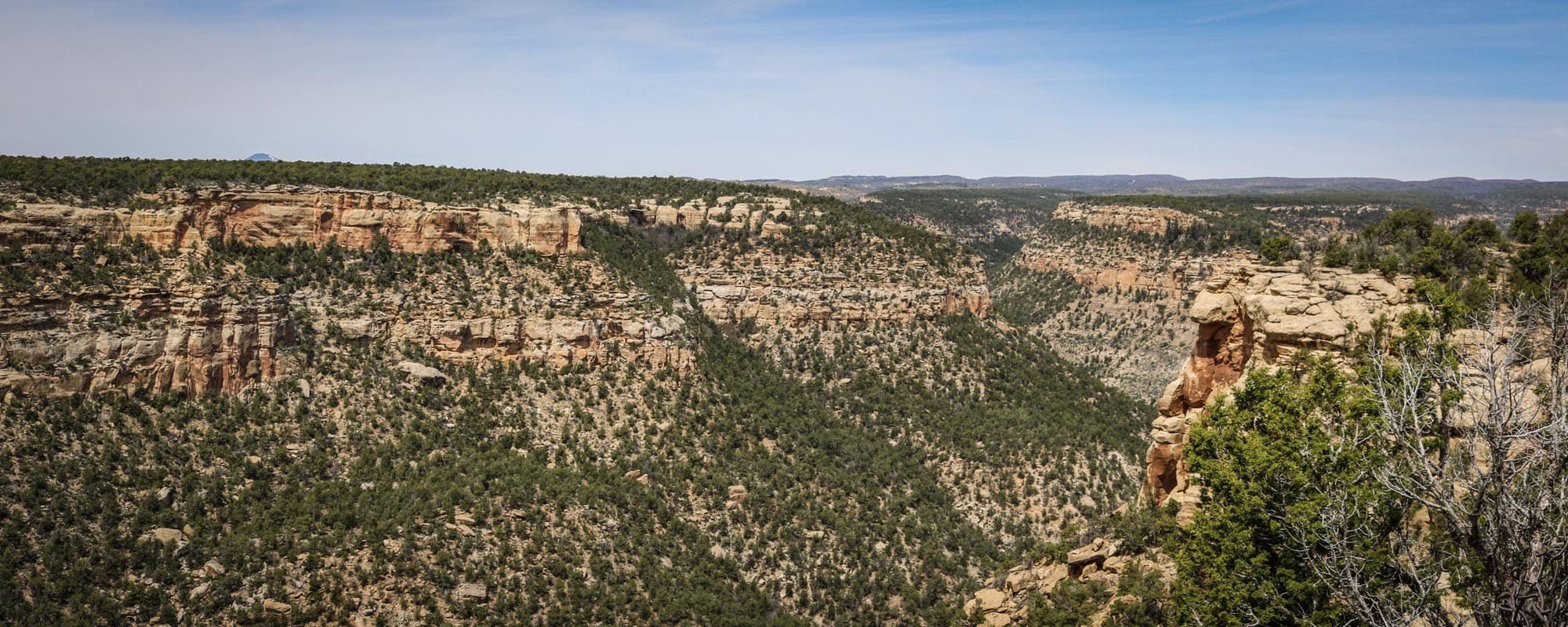 Mesa Verde National Park - Banner Navajo Canyon