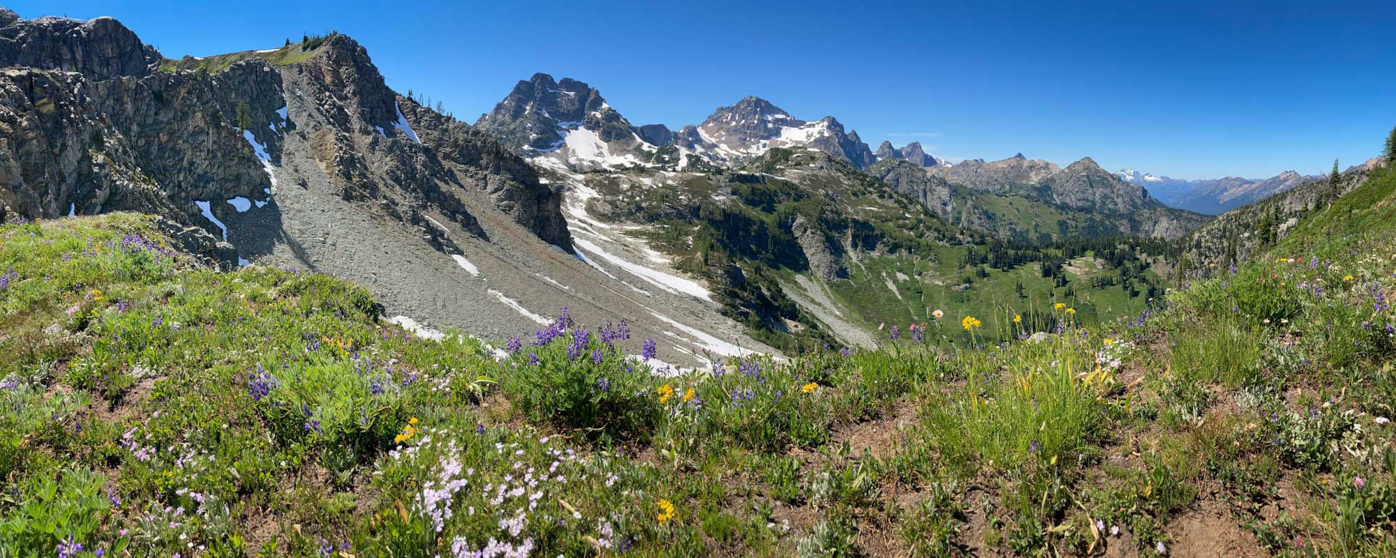North Cascades National Park, Washington - Banner Wildflowers Mountains