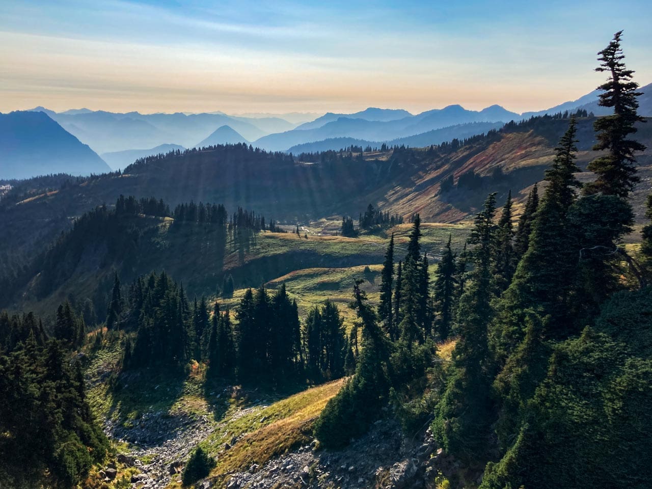 Paradise seen from Skyline Trail, Mount Rainier National Park, Washington