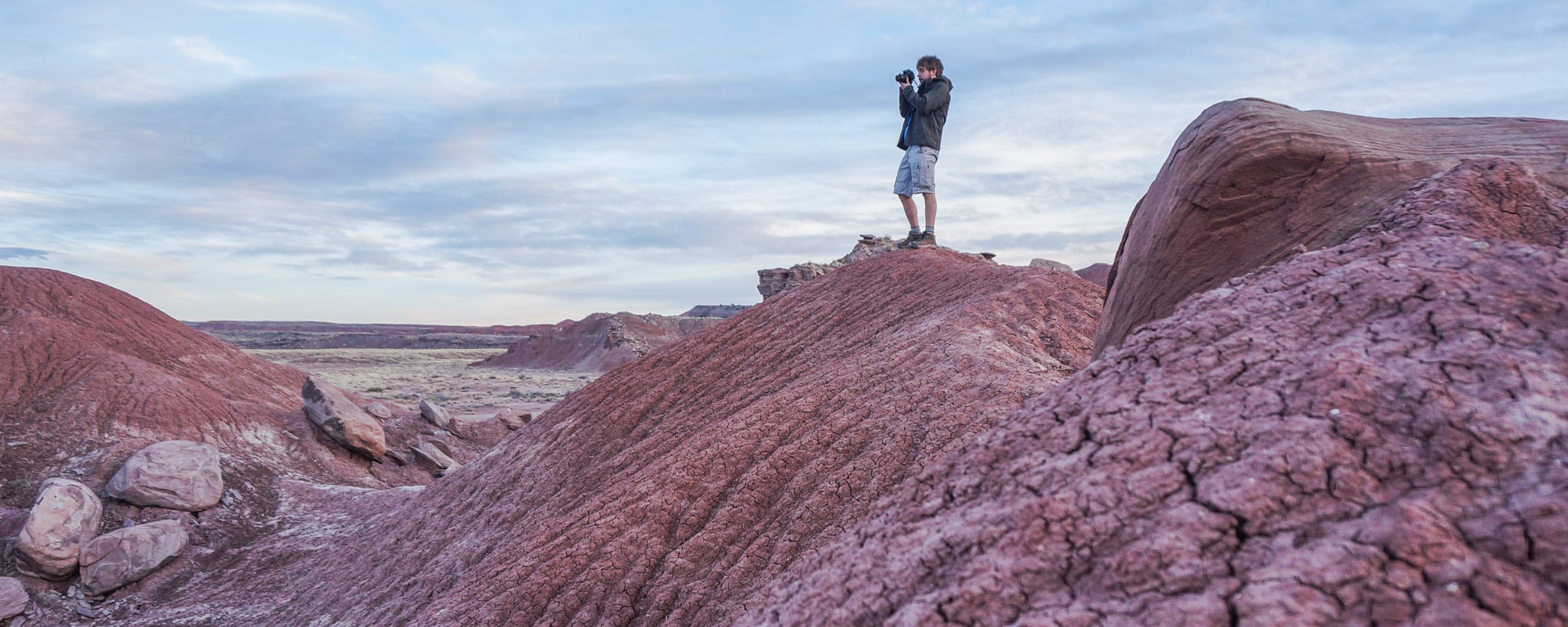 Petrified Forest National Park - Banner Photography