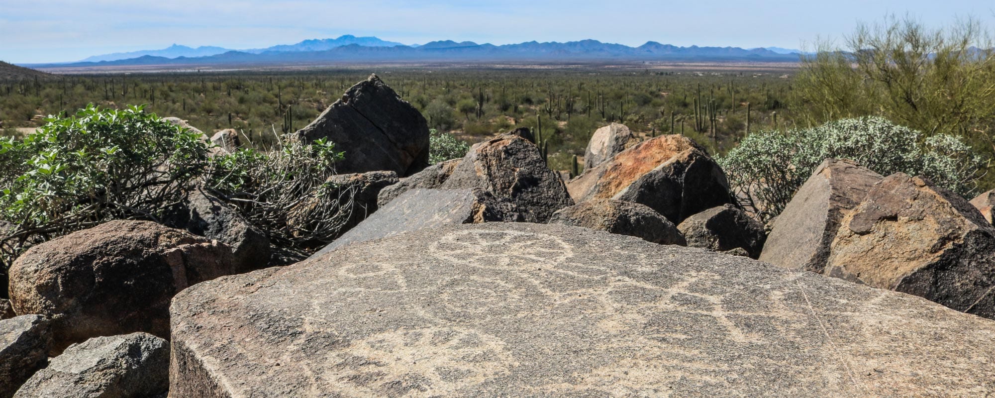 Saguaro National Park - Banner Native American Petroglyphs