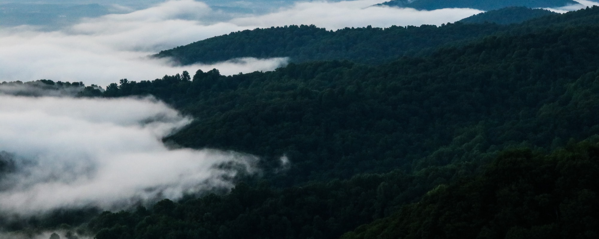 Shenandoah National Park - Banner Mist