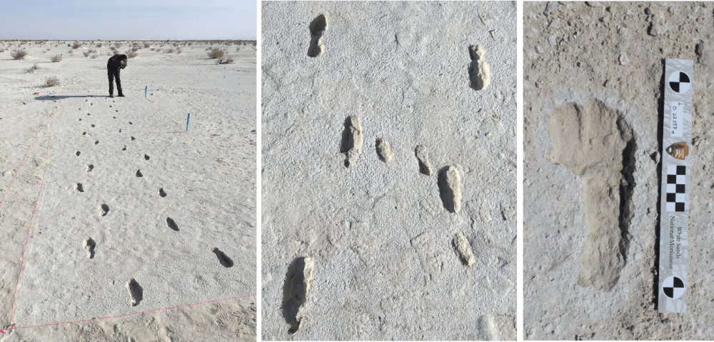 White Sands National Park Fossilized Human Footprints Tracks - NPS Photo