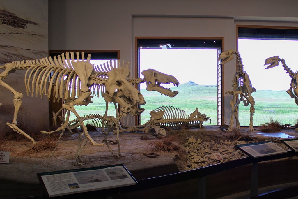 Agate Fossil Beds National Monument diorama, Nebraska - Credit NPS - National Parks with Fossils