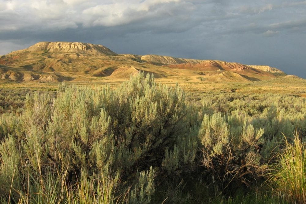 Fossil Butte National Monument, Wyoming - Credit NPS Tyra Olstad