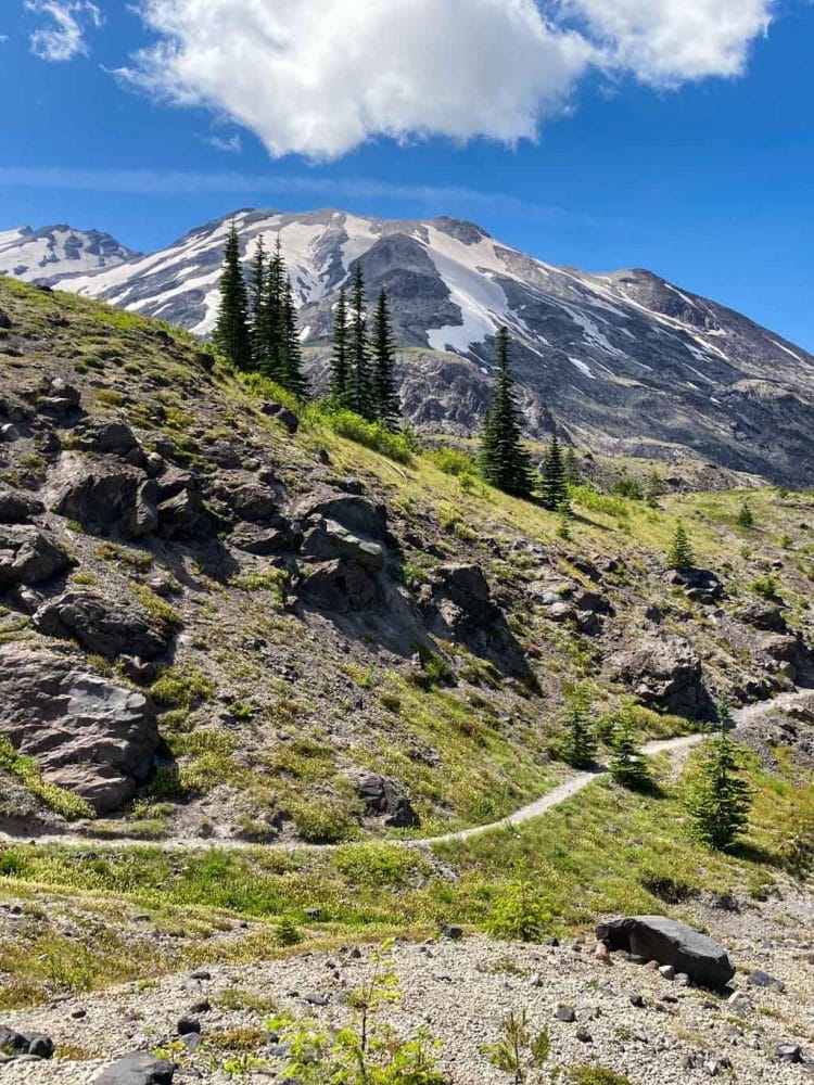 Mount St. Helens National Volcanic Monument, Washington - Ape Canyon Trail in Summer
