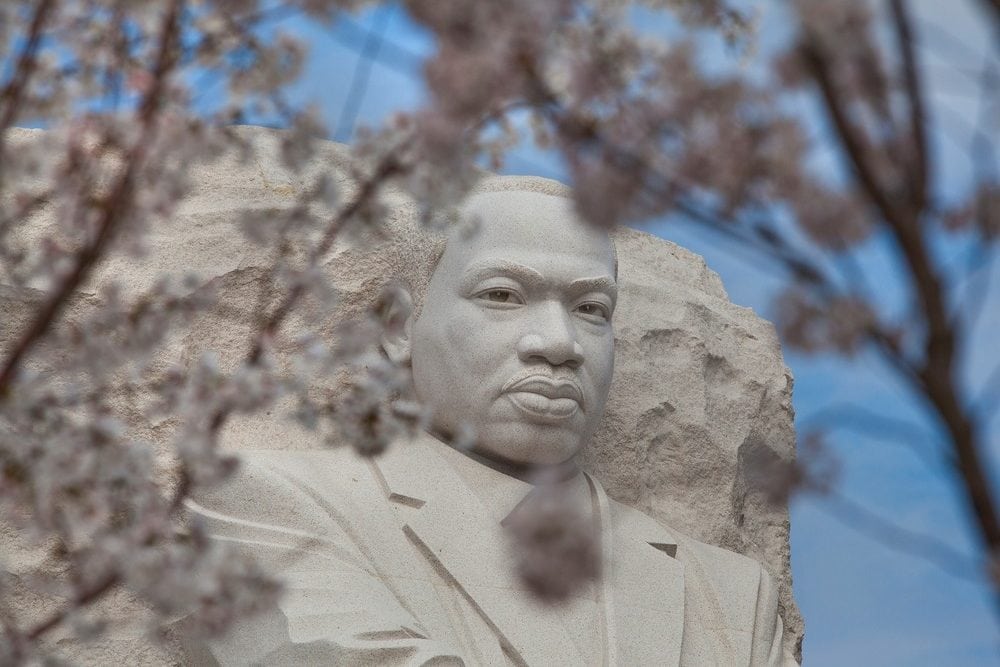 Cherry blossoms at Martin Luther King Jr. Memorial, Washington DC - Credit NPS