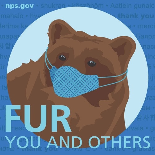 National Park Service Face Mask Graphic Bear