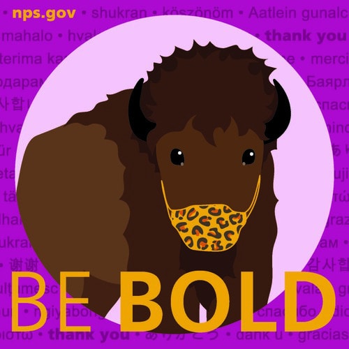National Park Service Face Mask Graphic Bison