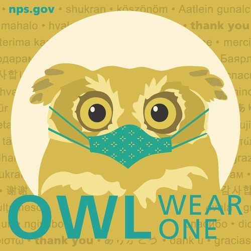 National Park Service Face Mask Graphic Owl