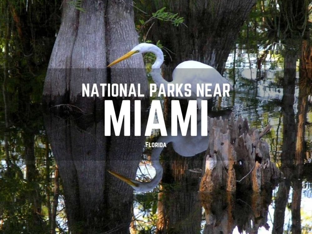 National Parks Near Miami, Florida