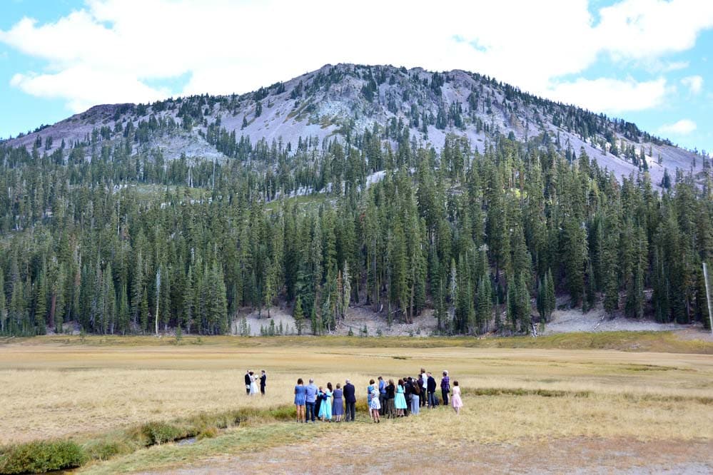 Wedding in the Meadow