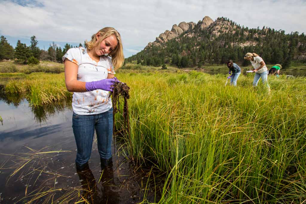 Citizen scientist sampling in Rocky Mountain National Park - Photo Credit NPS