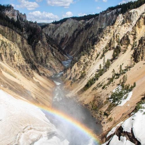 Brink of the Lower Falls rainbow, Grand Canyon of the Yellowstone, Yellowstone National Park