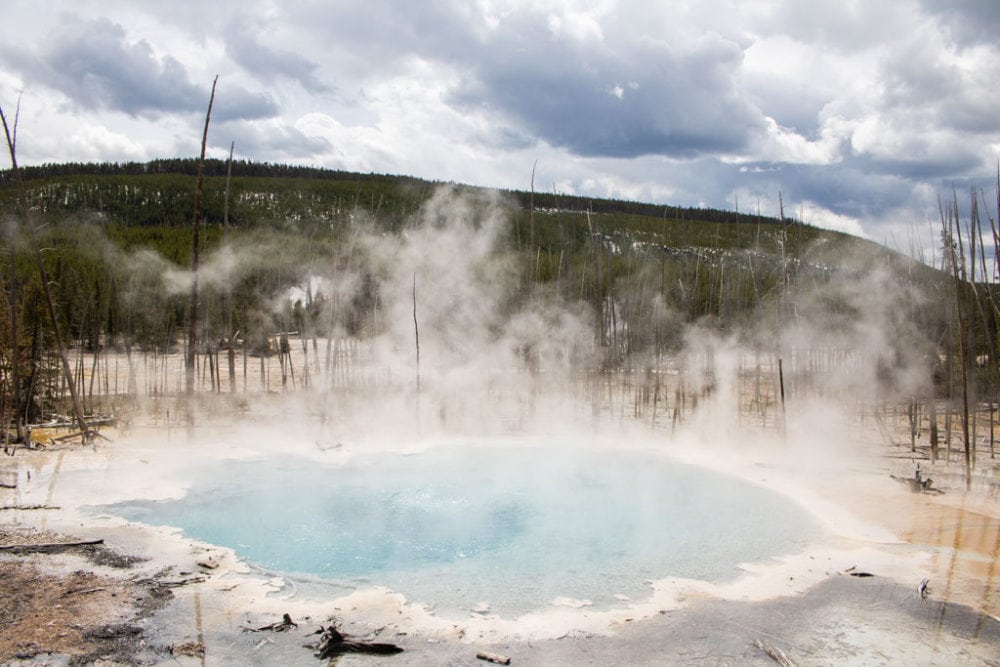 Cistern Spring in Back Basin, Norris Geyser Basin, Yellowstone National Park