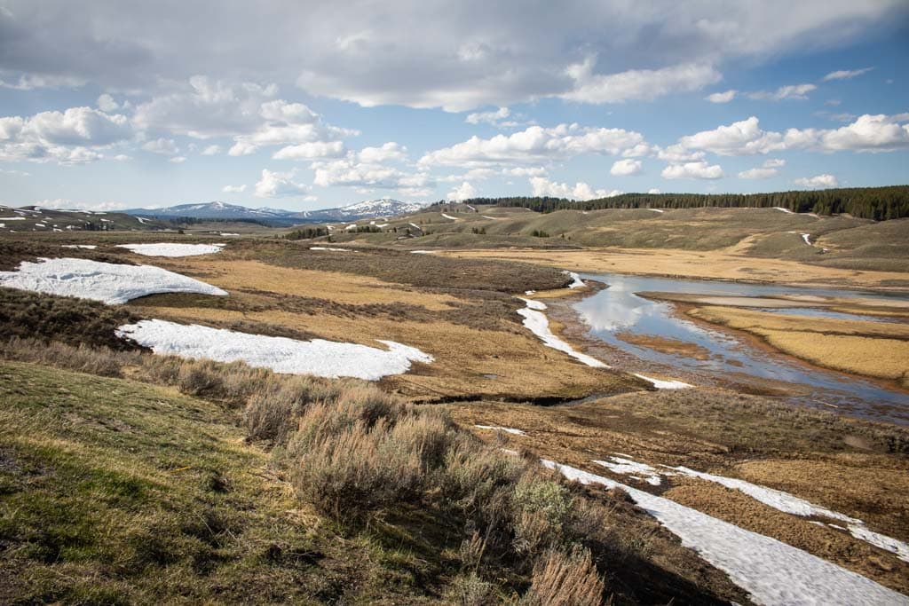 Hayden Valley is one of the best places to see wildlife in Yellowstone National Park