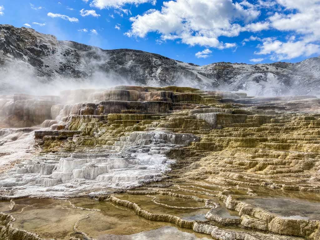 Minerva Terrace at Mammoth Hot Springs, one of the most beautiful places to visit in Yellowstone National Park