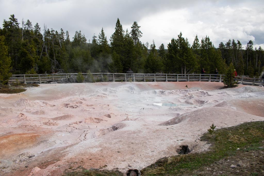 Mud pots at Fountain Paint Pot in Lower Geyser Basin, Yellowstone National Park
