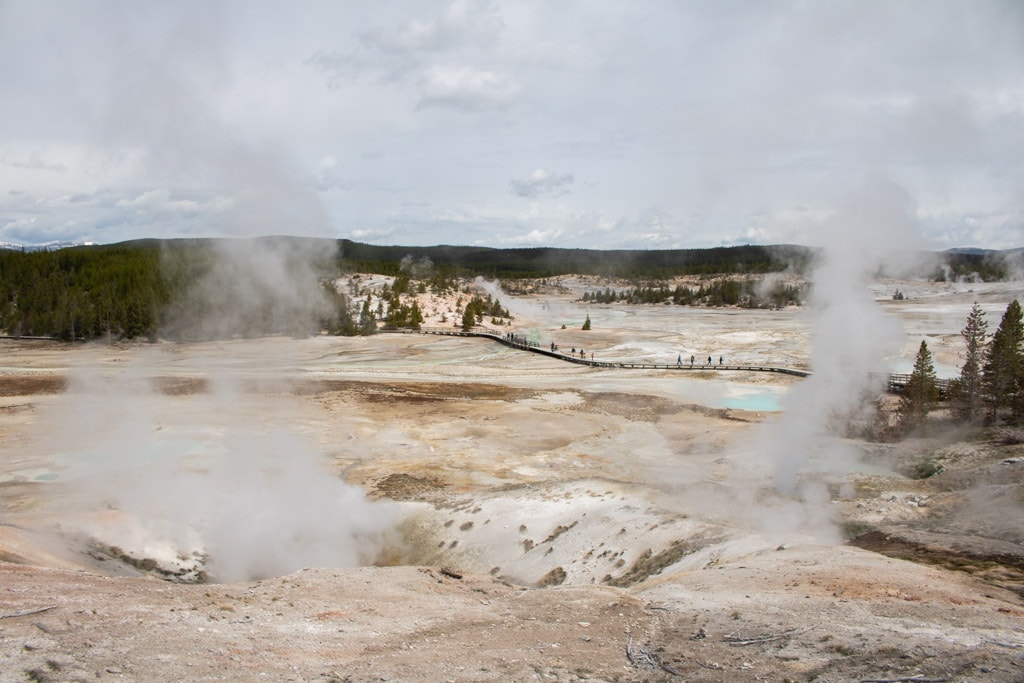 Porcelain Basin at Norris Geyser Basin, one of the best places to visit in Yellowstone National Park, Wyoming