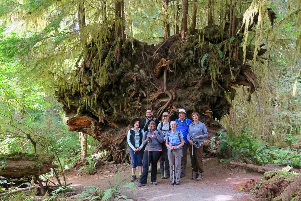 Mark Hennager for Wilderness Inquiry - Hiking in Olympic National Park