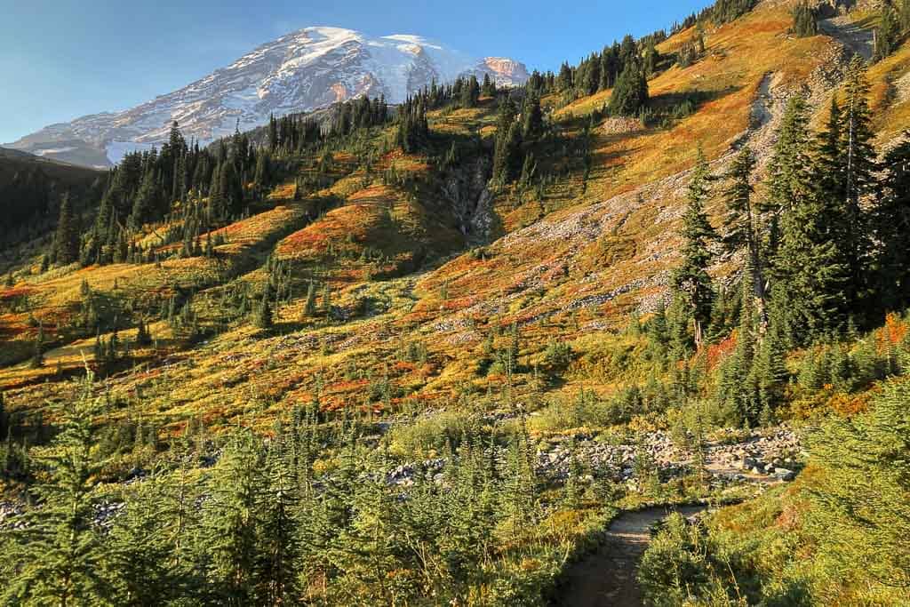 Fall colors on Skyline Trail, Mount Rainier National Park, Washington