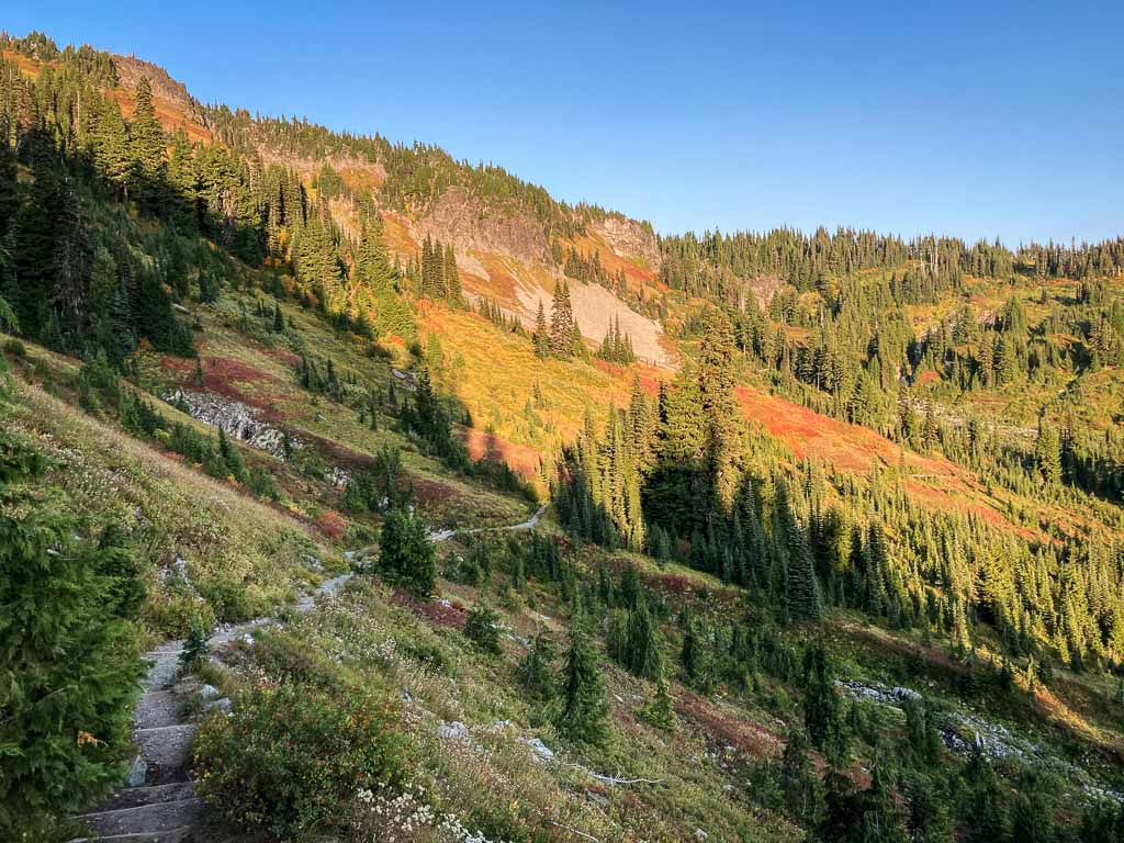 Fall landscape on a hiking trail in Mount Rainier National Park, Washington