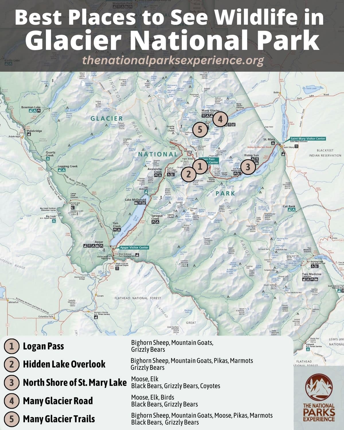 Map of the Best Places to See Wildlife in Glacier National Park