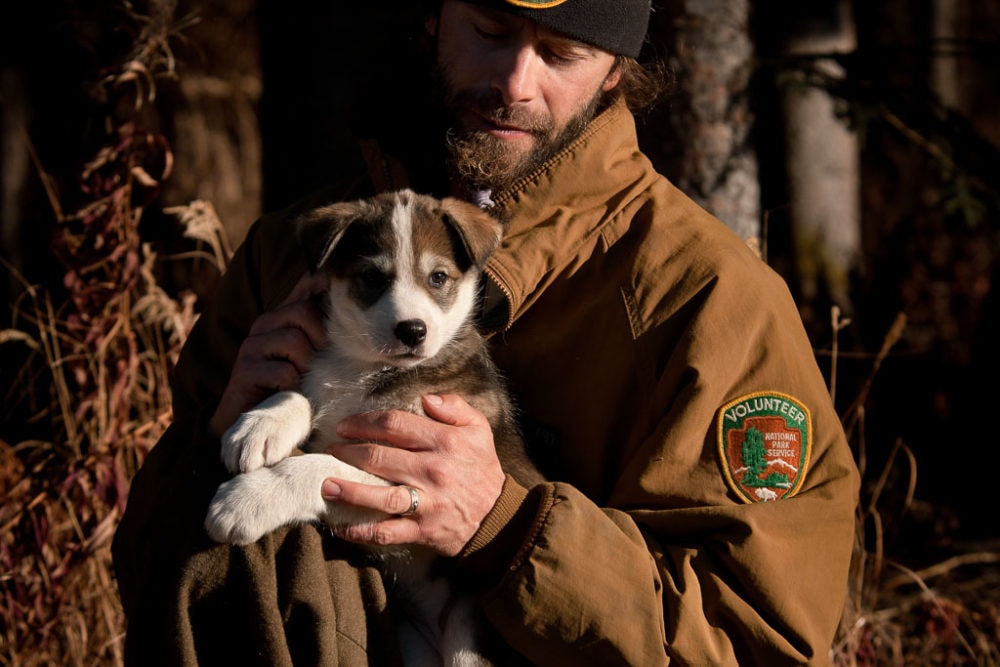 Denali National Park Ranger with cute sled dog puppy - Image credit NPS Tim Rains