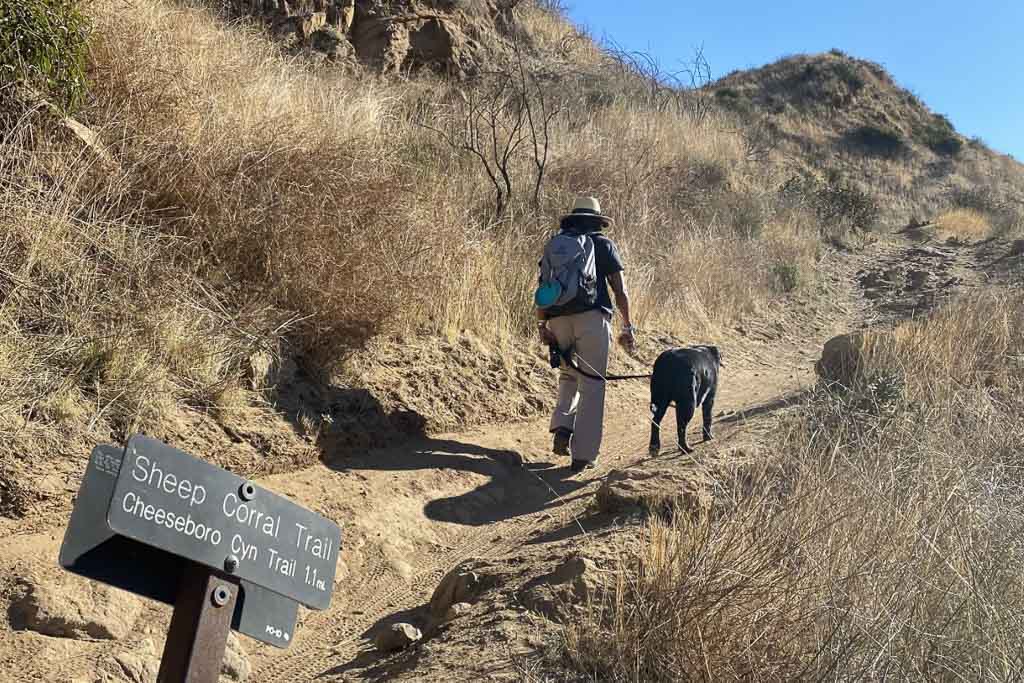 Dog safety tips in Santa Monica Mountains National Recreation Area, California - Photo credit NPS