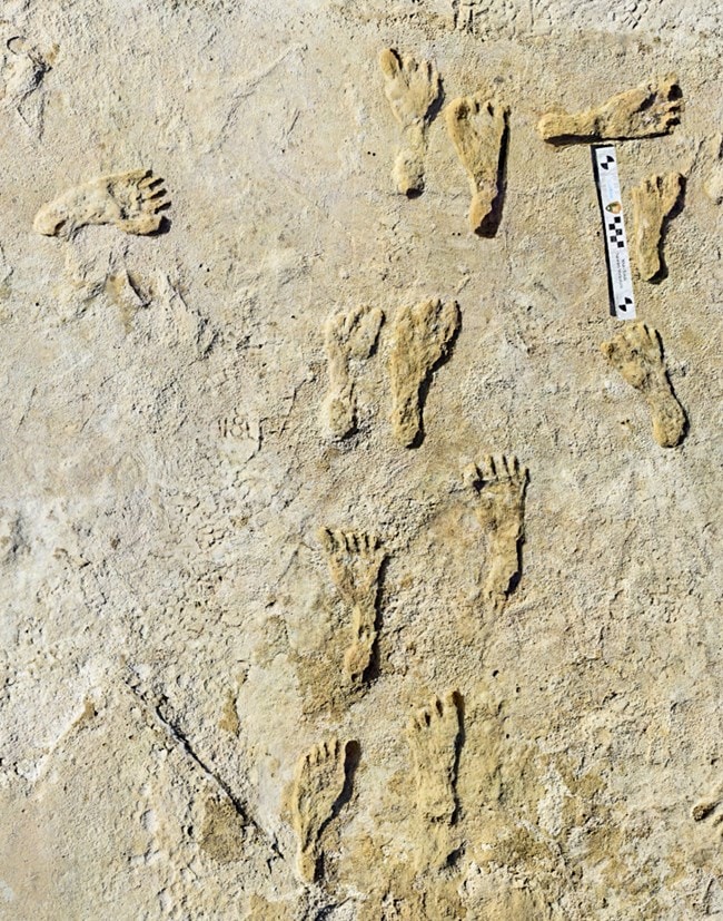Oldest human fossilized footprints in North America in White Sands National Park
