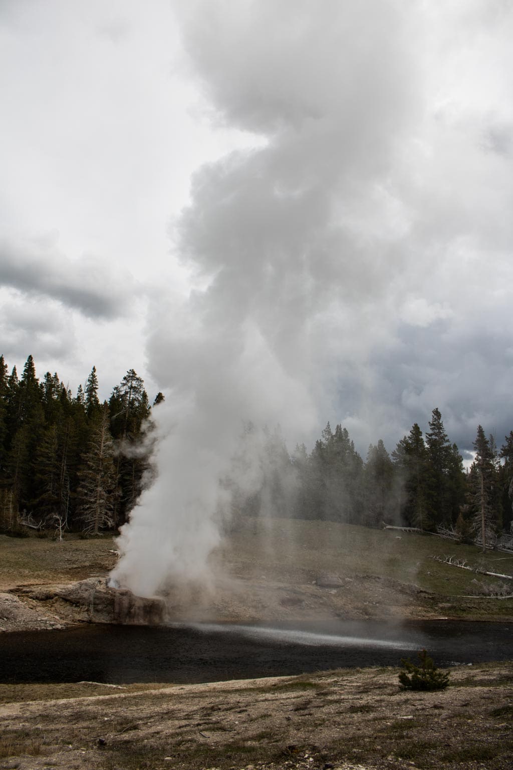 Riverside Geyser eruption in Upper Geyser Basin, Yellowstone National Park