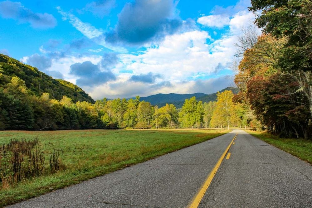 Road in Great Smoky Mountains National Park - Image credit NPS Victoria Stauffenberg