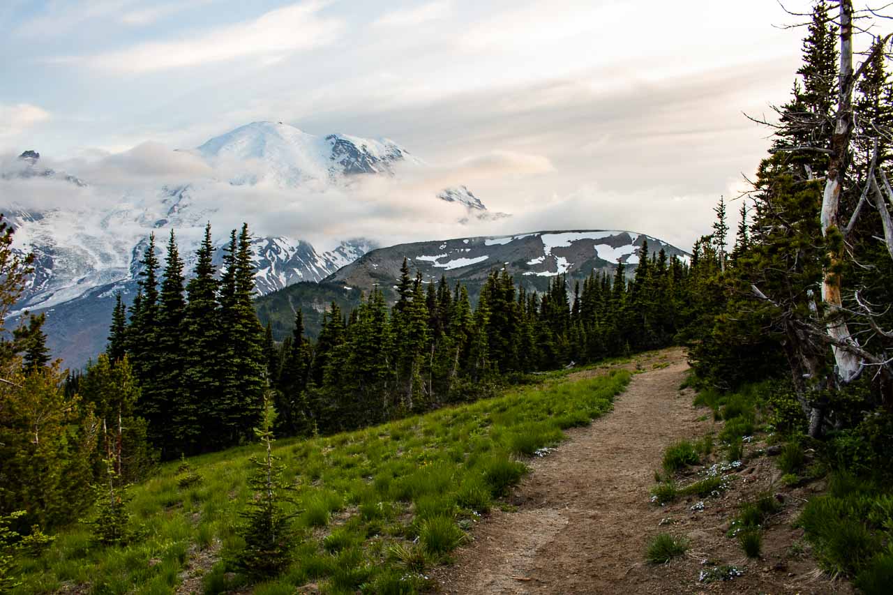Sourdough Ridge Trail with Mount Rainier views, Mount Rainier National Park