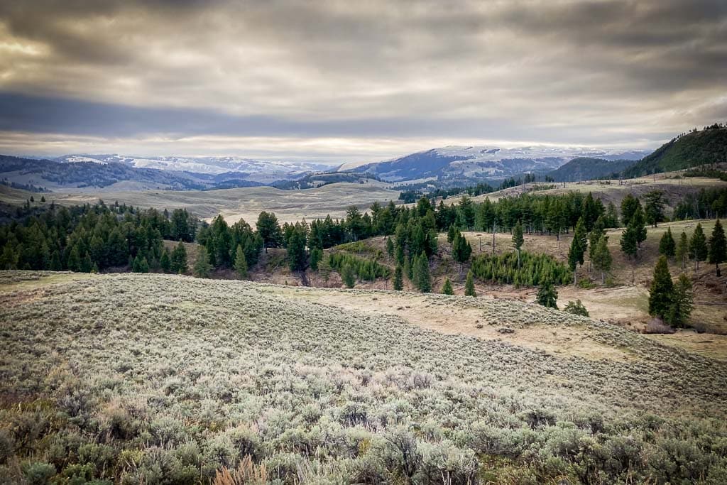 Cloudy morning at Blacktail Plateau in Yellowstone, Wyoming National Parks
