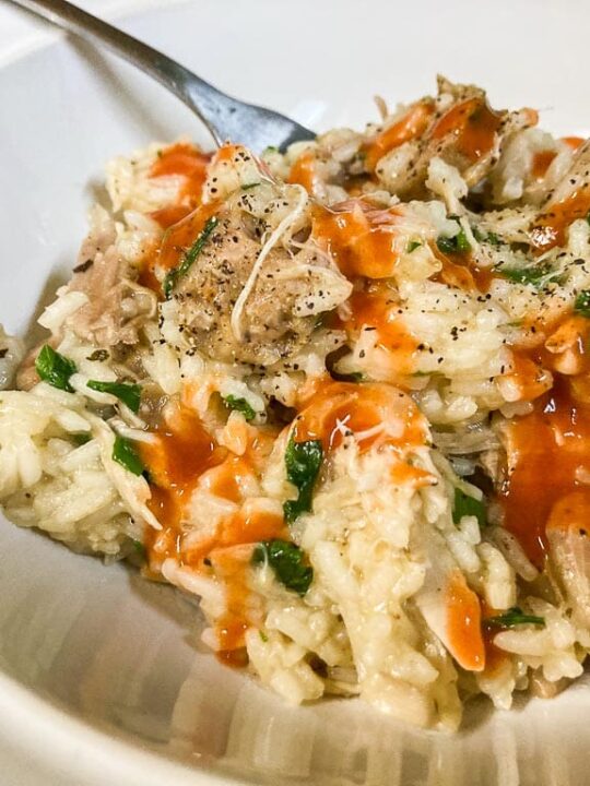 Congaree National Park inspired chicken bog and hot sauce in bowl close up with fork