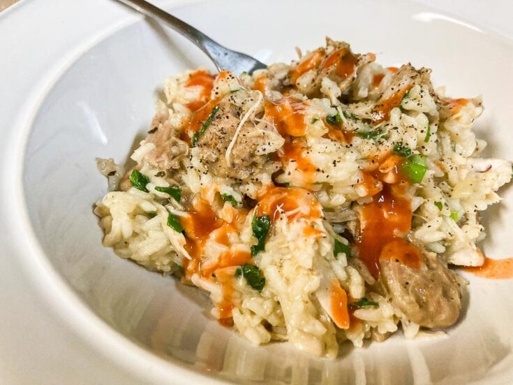 Congaree National Park inspired chicken bog and hot sauce in bowl close up with fork