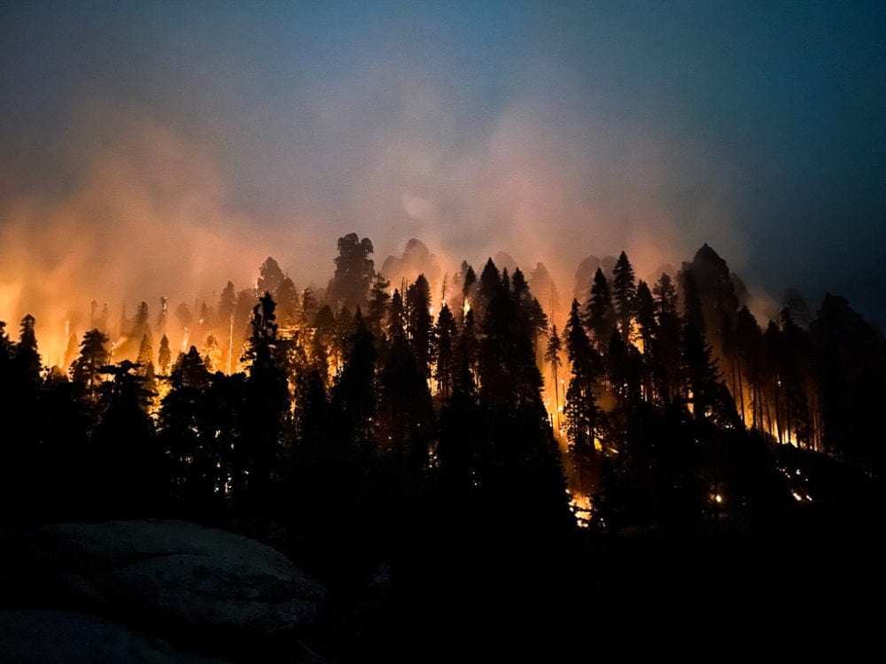 KNP Complex Fire burns in Sequoia and Kings Canyon National Parks - Image credit NPS