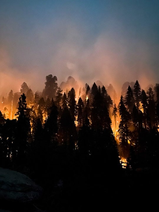 KNP Complex Fire burns in Sequoia and Kings Canyon National Parks - Image credit NPS