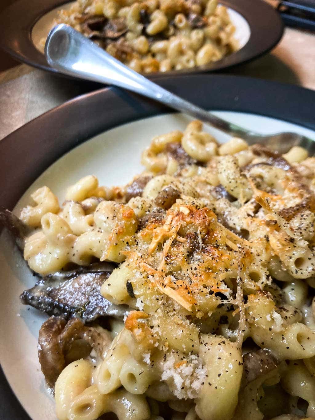 Mushroom mac and cheese recipe with caramelized onions on plate