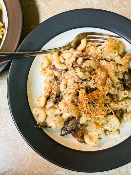 Shenandoah mushroom mac and cheese with caramelized onions on plate