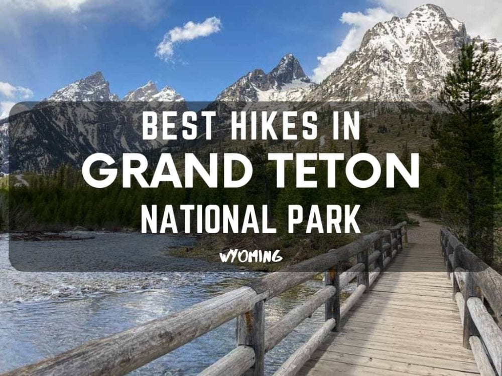 Best Hikes in Grand Teton National Park
