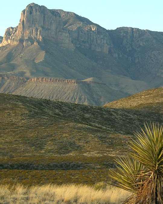 El Capitan and desert scenery in Guadalupe Mountains National Park - Image credit NPS D. Buehler