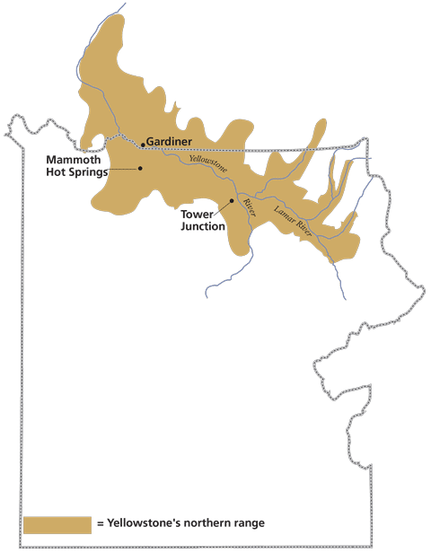 Yellowstone National Park Northern Range Map - Credit NPS