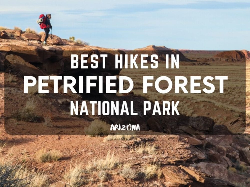 Best Hikes in Petrified Forest National Park, Arizona