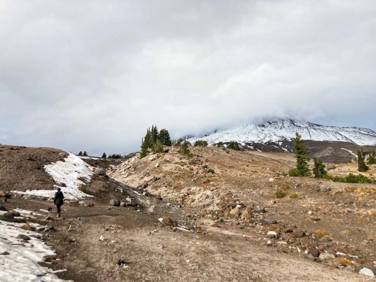 7 Epic Day Hikes in Mt. Hood National Forest, Oregon The National Parks Experience