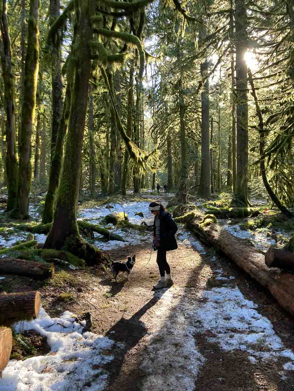 Hiker with dog on the Old Salmon River Trail in Mt. Hood National Forest, Oregon