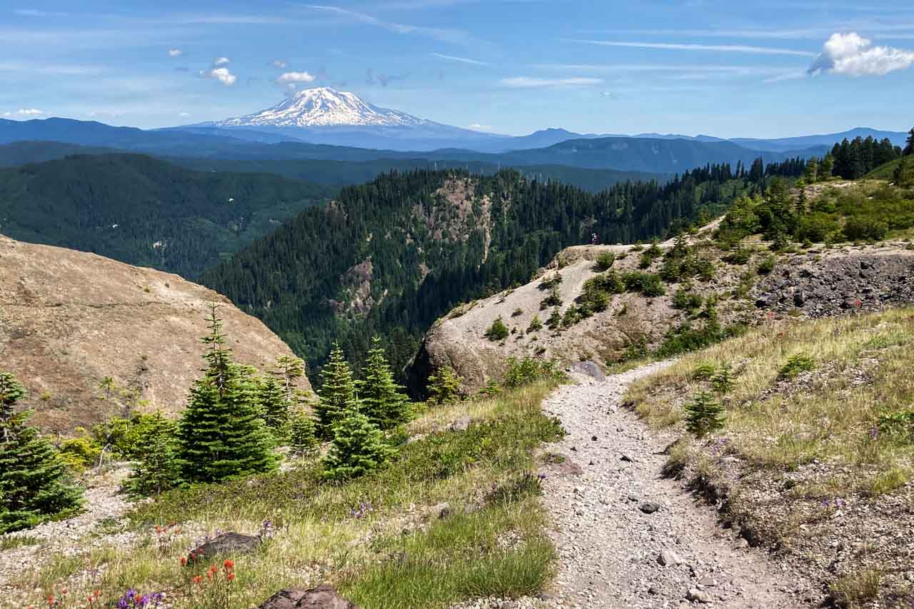 Mount Adams seen from Ape Canyon Trail, Mount St. Helens National Volcanic Monument, Washington State